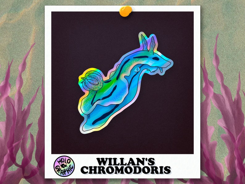 Holo Nudibranch Stickers Willians Chromodoris