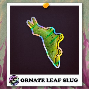 Holo Nudibranch Stickers Ornate Leaf Slug