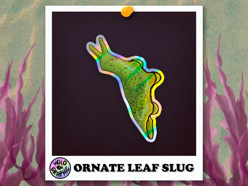 Holo Nudibranch Stickers Ornate Leaf Slug