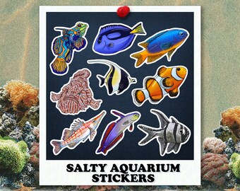 Saltwater Fish Stickers