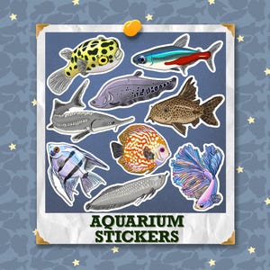 Aquarium Fish Stickers: Handmade Original Designs & Stickers