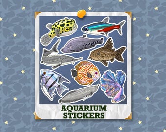 Pegatinas de peces de acuario: diseños y pegatinas originales hechos a mano