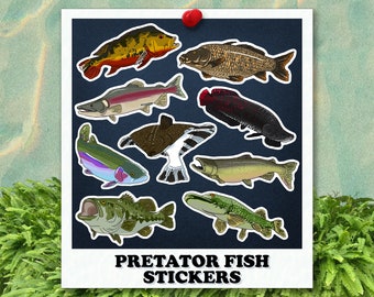 Predator Fish Stickers