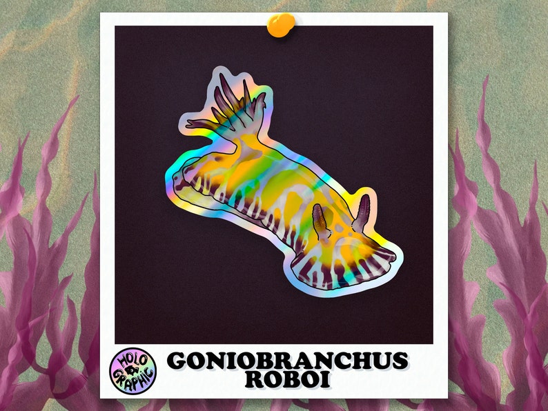 Holo Nudibranch Stickers Goniobranchus Roboi