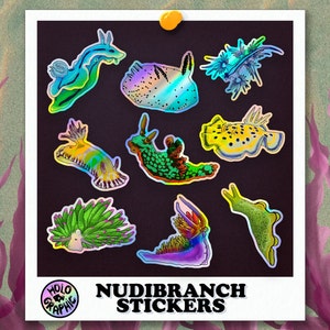 Holo Nudibranch Stickers All nudibranch