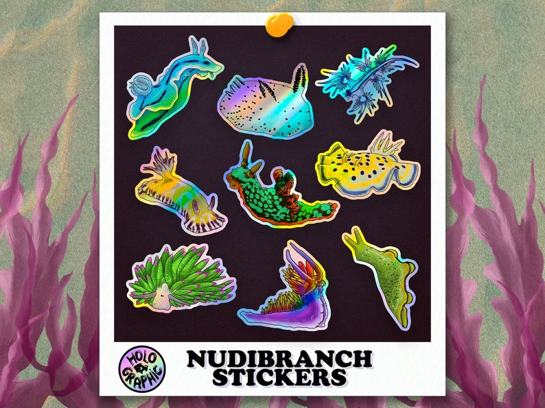 Holo Nudibranch Stickers All nudibranch