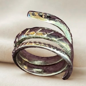 May include: A wrap-around ring shaped like a coiled snake. The metal band features a dark, oxidized finish with a textured, cross-hatched pattern along the exterior. The snake head is positioned at the top, with visible eye indentations.