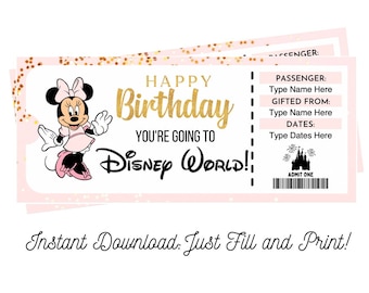 Minnie Birthday Surprise Tickets Orlando Theme Park Printable and Editable DIGITAL DOWNLOAD gift pdf