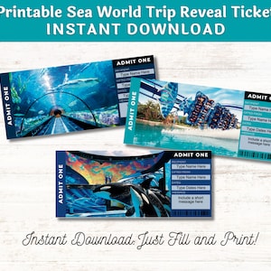 Bearbeitbares Überraschungsticket für den Sea World Theme Park, Geschenk für Kinder, SOFORT-DOWNLOAD, Überraschungsreise, bearbeitbare und druckbare digitale Datei, ausfüllbare PDF-Datei