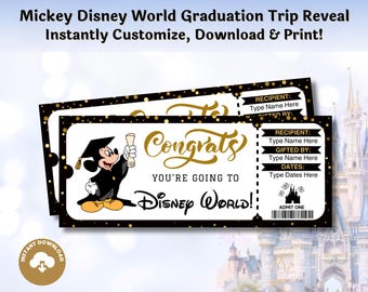 Editable Florida Theme Park Graduation Surprise Ticket INSTANT DOWNLOAD Fill and Print Kids Family Vacation