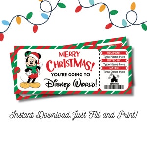 Editable Florida Theme Park Christmas Surprise Ticket INSTANT DOWNLOAD Fill and Print Kids Family Vacation