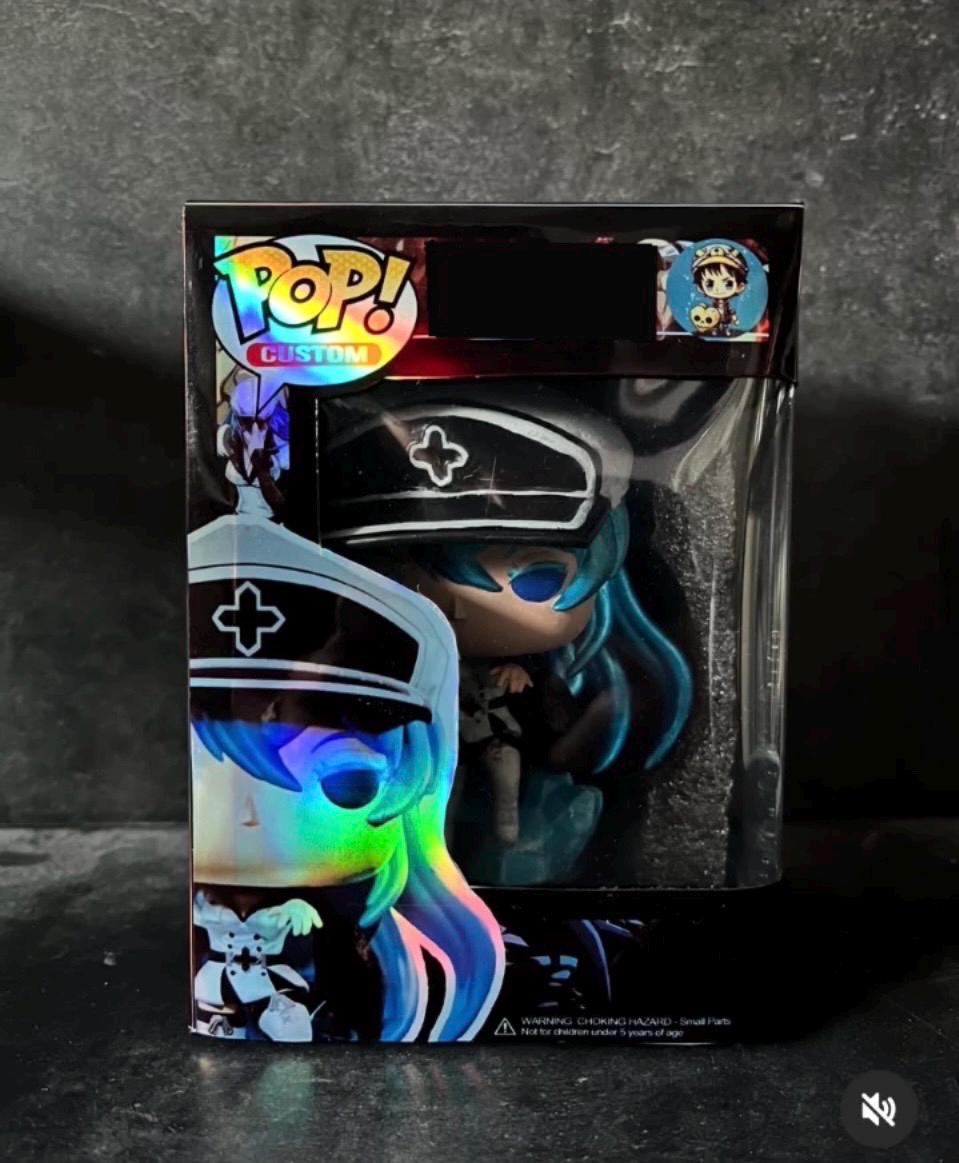 Esdeath pop custom limited of 1 (custom box included)