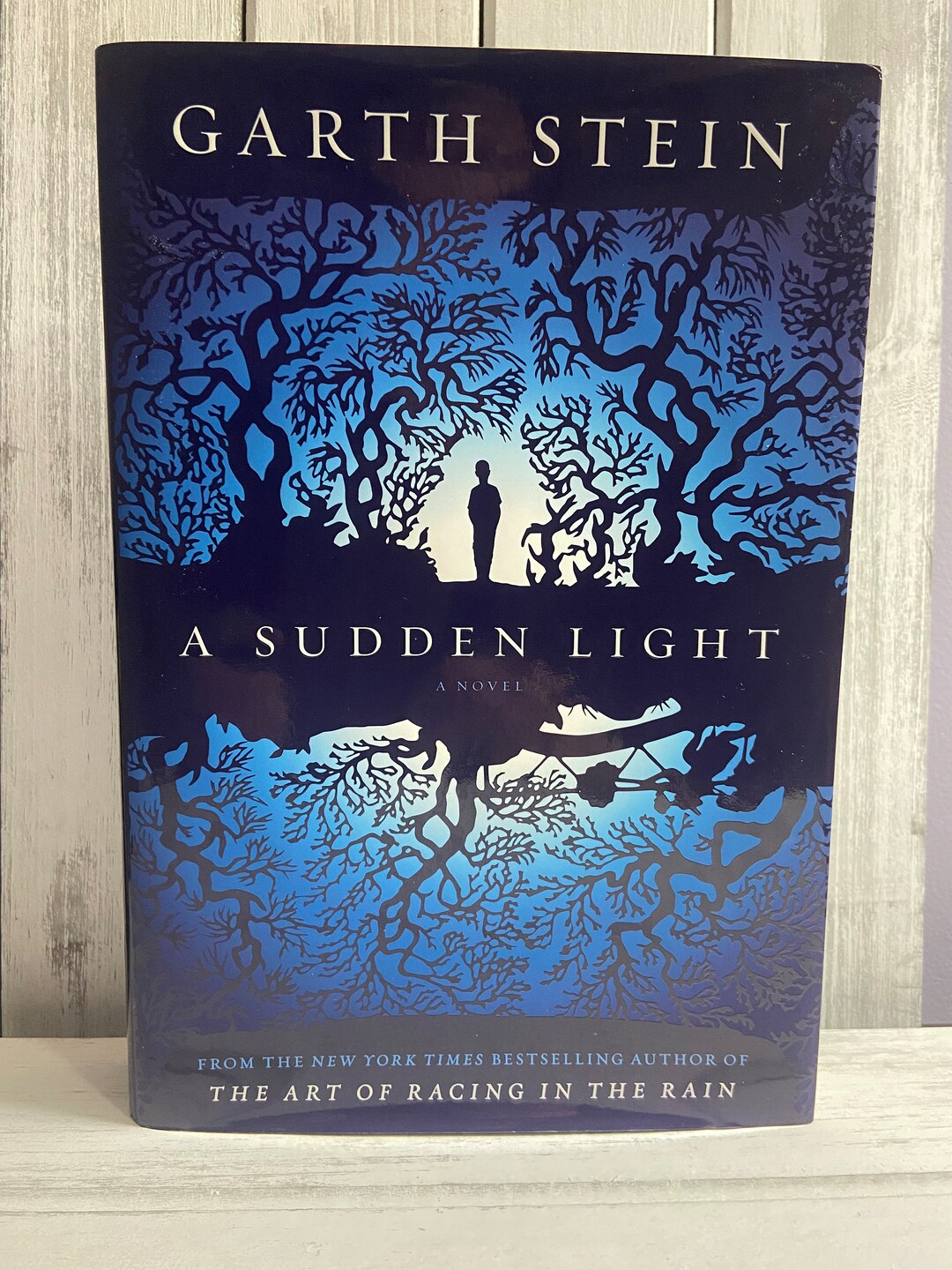 Hardcover Edition A Sudden Light by Garth Stein Etsy