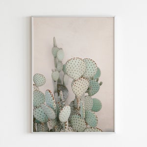 Puede incluir: Primer plano de un cactus chumbera con almohadillas de color verde claro y espinas marrones sobre un fondo rosa pálido.