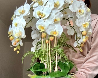 Weiße Orchidee in einer weißen Vase