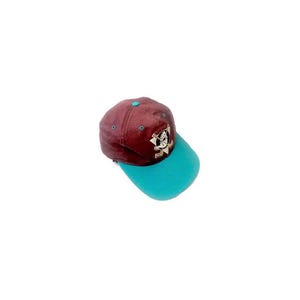 Vintage MIGHTY DUCKS Snap-Back Trucker Hat: Youth NHL Hockey Sports Cap