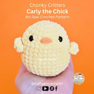 No Sew Küken Vogel Häkelanleitung Amigurumi-Muster Küken-Muster Häkelanleitung süßer Anfängermarkt Carly
