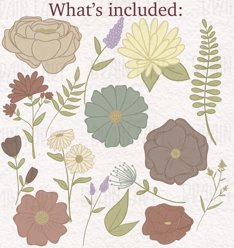 Neutral Flowers PNG Files/ Floral Clip Art Files Etsy