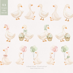 May include: Watercolor illustrations of white geese in various poses. Some geese wear bonnets, hold baskets of flowers, or carry balloons in pastel colors. The image includes text indicating the number of images, file type, and resolution.