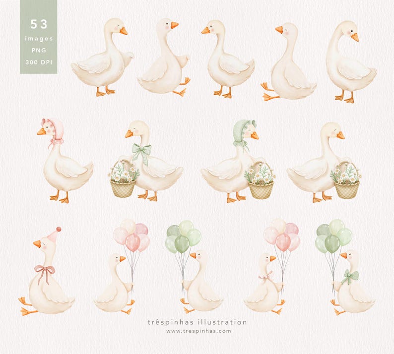 May include: Watercolor illustrations of white geese in various poses. Some geese wear bonnets, hold baskets of flowers, or carry balloons in pastel colors. The image includes text indicating the number of images, file type, and resolution.