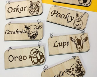 Personalized Wooden Pet Plaque, Pet Crate Name Tag, Cage and Kennel Identification, Dog, Horse, Cat, Guinea Pig, Bird, Rabbit, Snake, Turtle