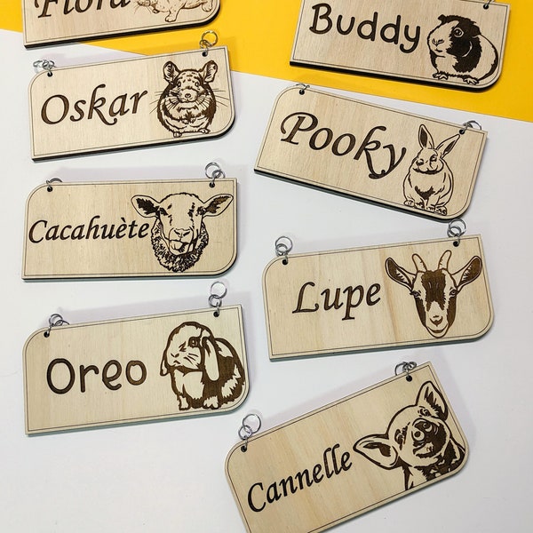 Personalized Wooden Pet Plaque, Pet Crate Name Tag, Cage and Kennel Identification, Dog, Horse, Cat, Guinea Pig, Bird, Rabbit, Snake, Turtle