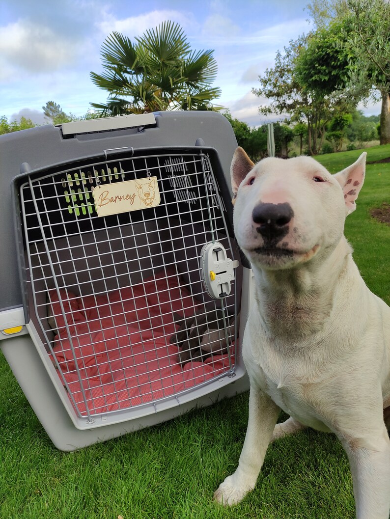 Personalized Wooden Pet Plaque Pet Crate Name Tag Cage and Etsy