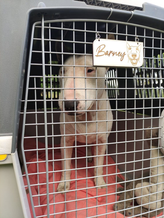 Barney pet cage sales