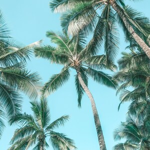 Beach Print | Beach Print Download | Beach Photography | Coastal Print | Coastal Printable | Coastal Wall Art | Printable Art