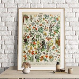 Adolphe Millot Print, Fleurs Poster Print, Vintage Art Print, Vintage Floral Art, Botanical Art Print, Wall Art Poster, Flowers Art Print