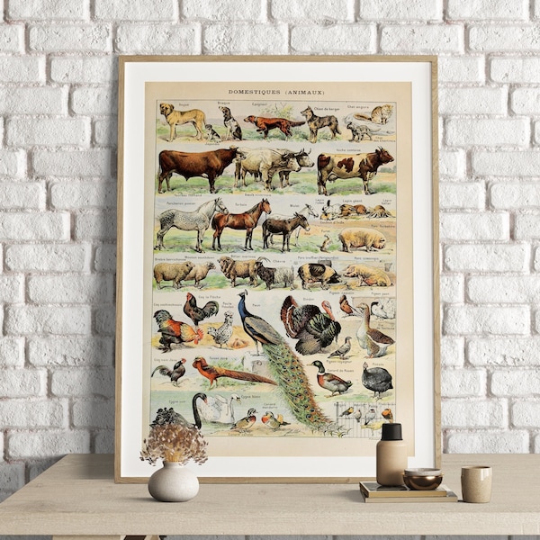 Domestic Animal Art Etsy