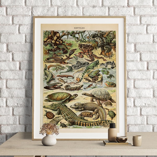 Adolphe Millot Prints, Reptiles Chart Print, Adolphe Millot Vintage Reptiles Poster Art, Reptiles Illustration, Reptiles , Animal Poster Art