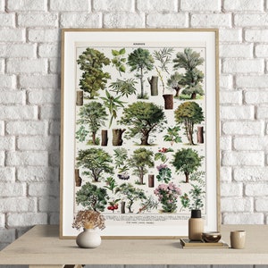 Adolphe Millot Print, Trees Poster Print, Vintage Art Print, Vintage Floral Art, Botanical Art Print, Wall Art Poster, Arbres Tree Decor