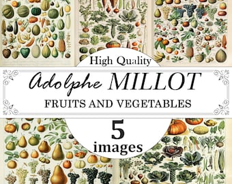 Adolphe Millot Prints, Adolphe Millot Fruits Vegetables Poster Set, Fruits Chart Print, Vegetables Chart Print, Vintage Botanical Poster