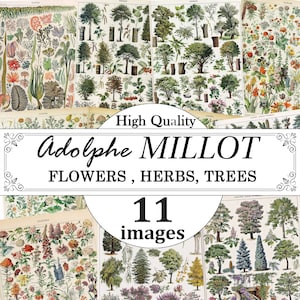 Adolphe Millot prints, vintage bloemen, kruiden, bomen poster set, bloemen grafiek afdrukken, kruiden grafiek afdrukken, bomen poster, botanische prints