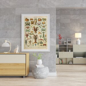 Puede incluir: Una impresi&oacute;n vintage enmarcada que presenta una ilustraci&oacute;n detallada de varios crust&aacute;ceos, incluyendo cangrejos, langostas y camarones. La obra de arte est&aacute; en un marco blanco y cuelga de una pared de hormig&oacute;n gris, a&ntilde;adiendo un toque vintage.