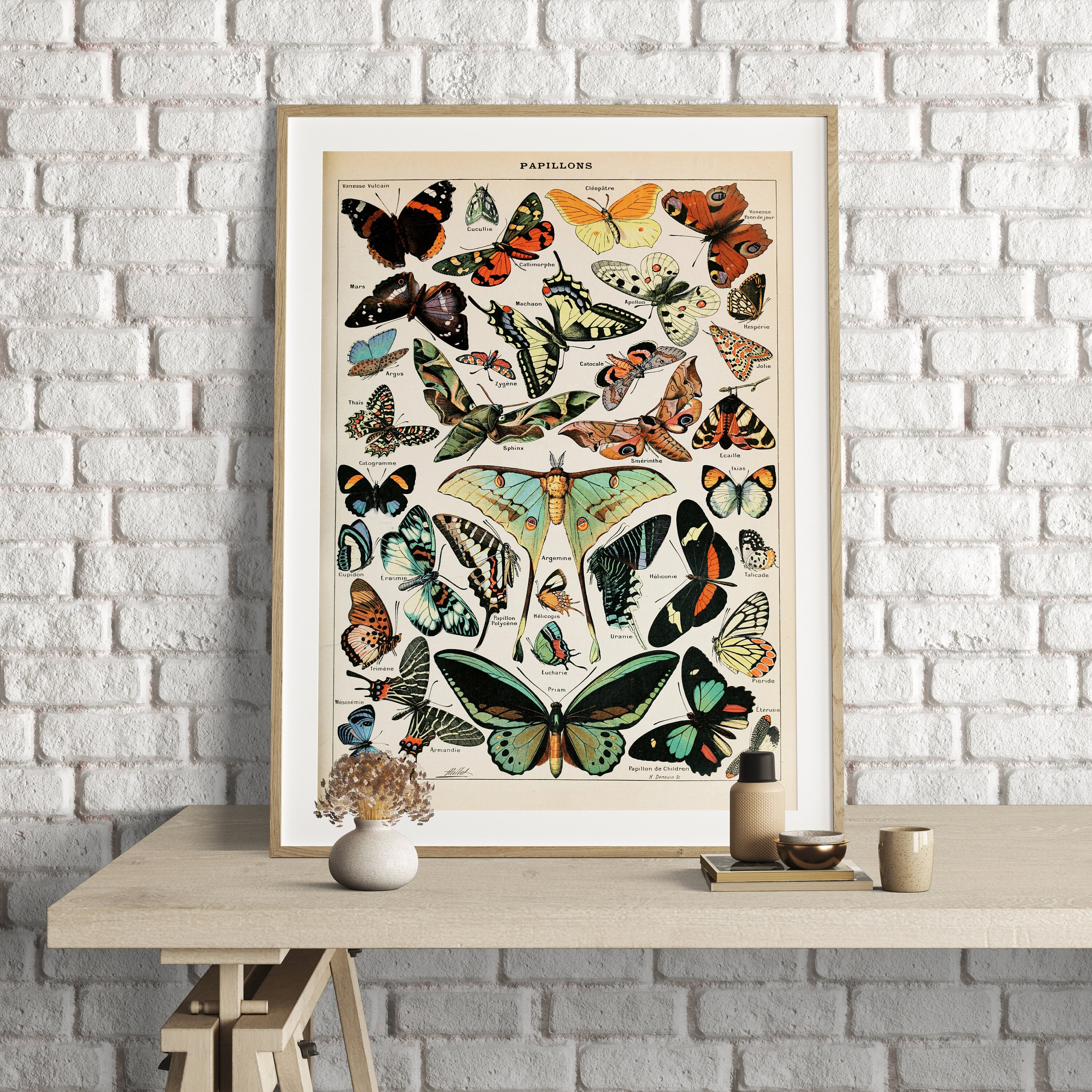 Adolphe Millot Prints, Butterfly Chart Print, Adolphe Millot Vintage Butterfly Poster Art Print, Butterflies, Animal Poster Art, Papillons