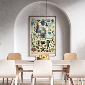 May include: A dining room with a white wall and an arched doorway. A vintage illustration of sea creatures hangs on the wall above a wooden table with four chairs. Two white chairs are facing the camera, and two tan chairs are facing away from the camera. A vase with dried white pampas grass is on each end of the table.