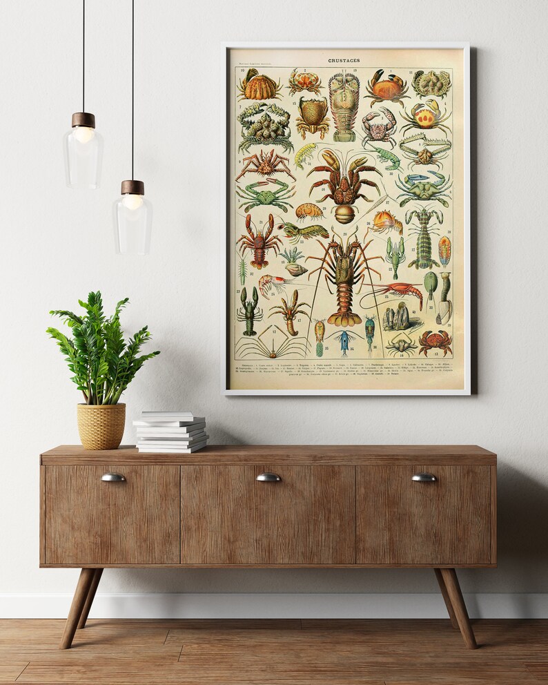 Puede incluir: Una impresi&oacute;n vintage enmarcada titulada "CRUSTAC&Eacute;S" con ilustraciones detalladas de varios crust&aacute;ceos en tonos marrones, verdes y naranjas. La impresi&oacute;n se exhibe en un mueble de madera con una planta y objetos decorativos.