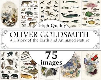 Oliver Goldsmith Vintage Animal Prints, Arte de carteles de animales vintage, Arte de pared de animales imprimible, Ilustración de animales, Impresión de animales de Safari