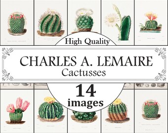 Impresiones de Charles Antoine Lemaire, Impresiones de cactus, Impresión de arte de cartel de cactus vintage de Charles Antoine Lemaire, Arte de pared botánico, Decoración de granja
