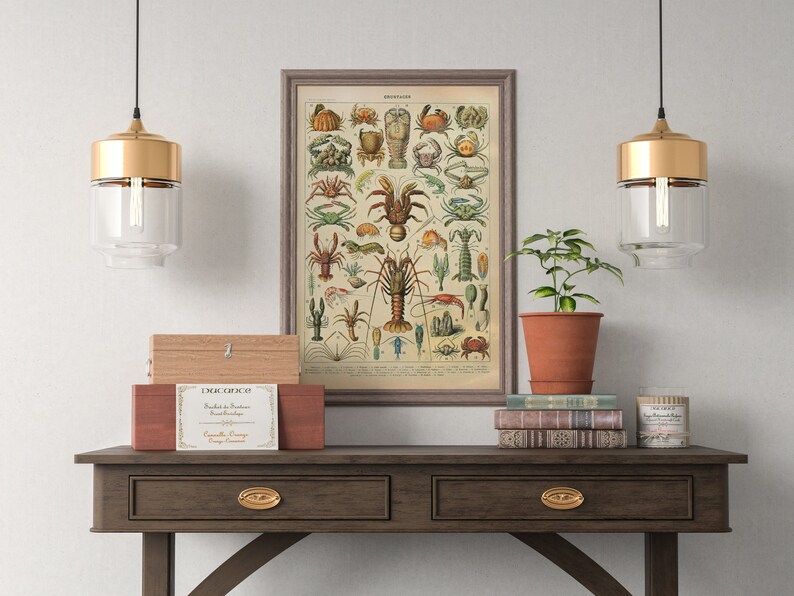 Puede incluir: Una impresi&oacute;n vintage enmarcada de varios crust&aacute;ceos, incluidos cangrejos y langostas, en tonos rojos, verdes y marrones. La impresi&oacute;n se exhibe sobre una mesa de madera oscura con una peque&ntilde;a planta, libros y cajas decorativas. Dos l&aacute;mparas colgantes doradas y de cristal cuelgan encima.