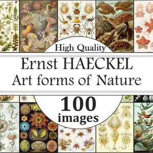 ERNST HAECKEL ARTWORKS - 100 Illustrations, Art Forms of Nature, Lithographic Images, High Res Vintage wall art, Instant Digital Download