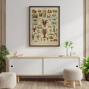 Puede incluir: Una impresi&oacute;n vintage enmarcada que presenta una ilustraci&oacute;n detallada de varios crust&aacute;ceos. La obra de arte muestra una variedad de cangrejos, langostas y otras criaturas marinas en colores vibrantes sobre un fondo crema. La impresi&oacute;n se exhibe en una pared blanca sobre un mueble de madera.