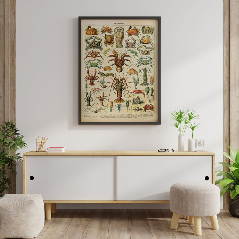 Puede incluir: Una impresi&oacute;n vintage enmarcada que presenta una ilustraci&oacute;n detallada de varios crust&aacute;ceos. La obra de arte muestra una variedad de cangrejos, langostas y otras criaturas marinas en colores vibrantes sobre un fondo crema. La impresi&oacute;n se exhibe en una pared blanca sobre un mueble de madera.