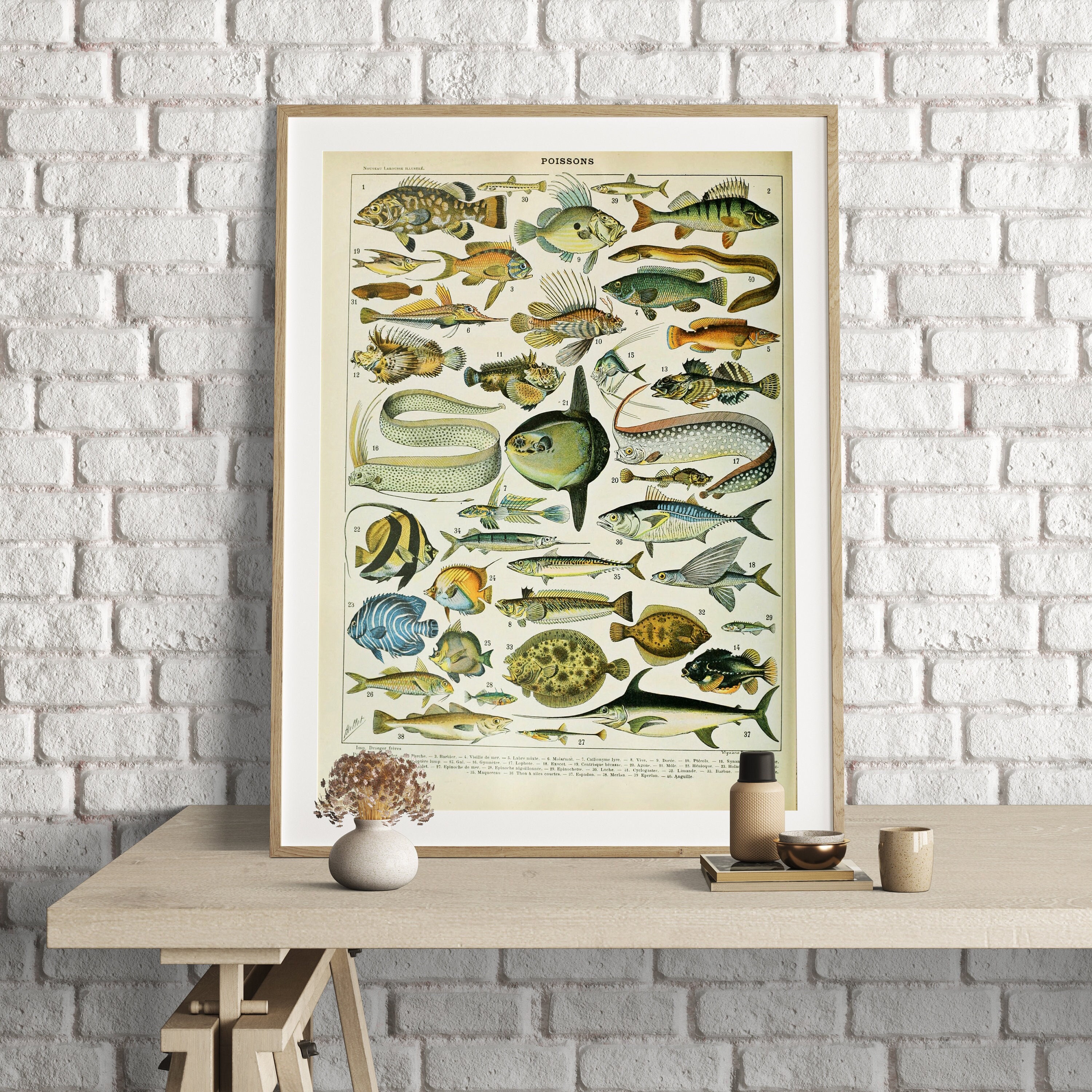 Adolphe Millot Prints, Vintage Sea Life Poster, Ocean Art Print, Sea Life Print, Fishes Poster, Sea Creatures, Poissons , Fish Prints