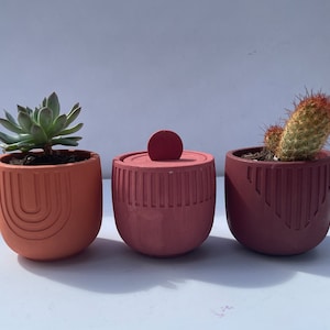 May include: Three decorative terracotta pots, each holding a different plant. The pots are in shades of orange and red, with geometric designs. One pot contains a succulent, another a cactus, and the third has a lid.
