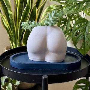 May include: A light gray concrete planter shaped like human buttocks, containing a small green succulent plant. The planter sits on a smooth, dark blue oval tray, which is positioned on a black circular metal stand.
