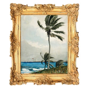 Palm Tree, Nassau by Winslow Homer - ART PRINT