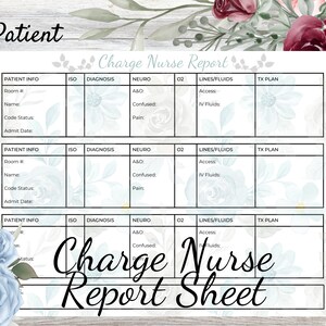 May include: A Charge Nurse Report Sheet with sections for patient information, diagnosis, and treatment plans. The sheet is designed for tracking three patients, with floral accents in shades of blue and burgundy. The text "3 Patient" is at the top.
